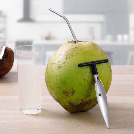 Coconut Opener Tool